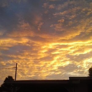 Meet your Posher, Jenn