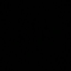 Meet your Posher, Carlos