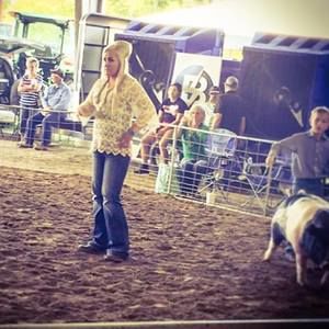 Meet your Posher, Shelby