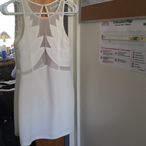 Swan wing mesh white dress