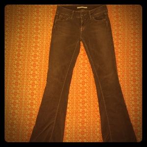 VINCE Camuto 27 Brown Flare Cords Corduroys