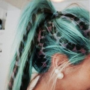 Meet your Posher, Turquoise leopard