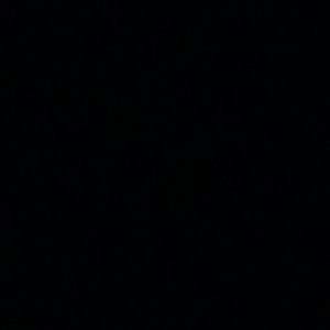 Meet your Posher, Chelsea