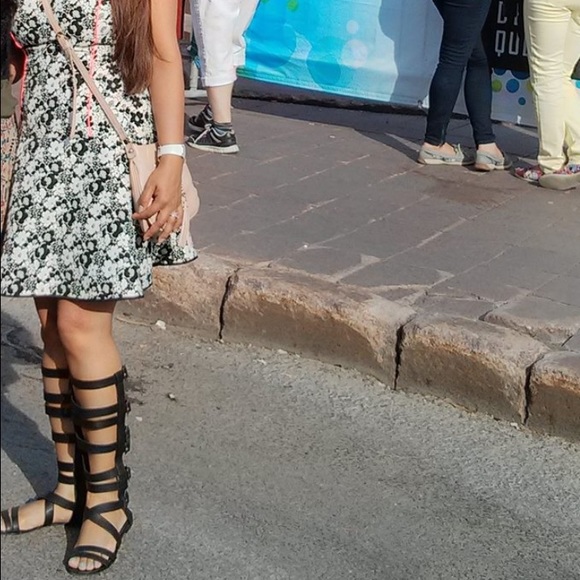 Very cool Gladiator - beautiful pair🌸