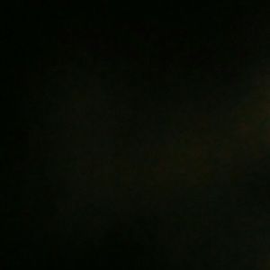 Meet your Posher, Selene