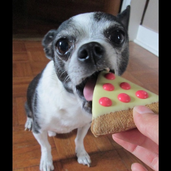 Meet your Posher, Dona - Picture 2 of 2