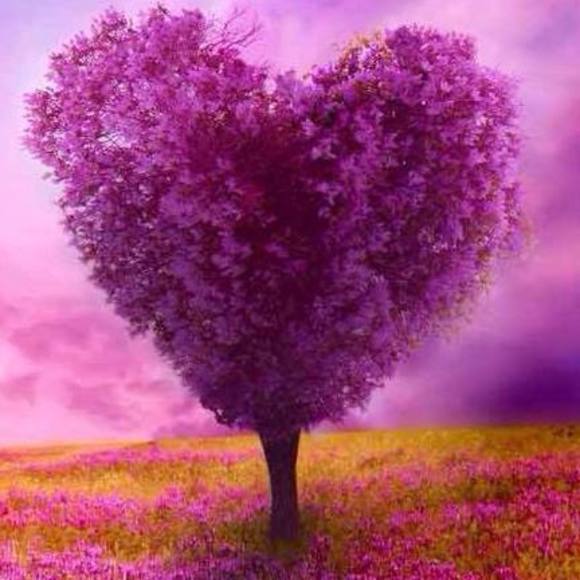 Meet your Posher, Tessy - Picture 1 of 1