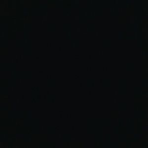 Meet your Posher, Roshni