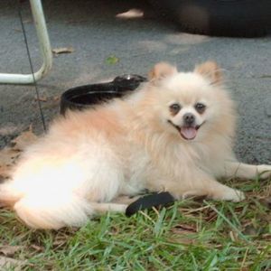 Meet your Posher, Erma