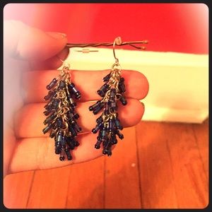 Blue Dangling Earrings