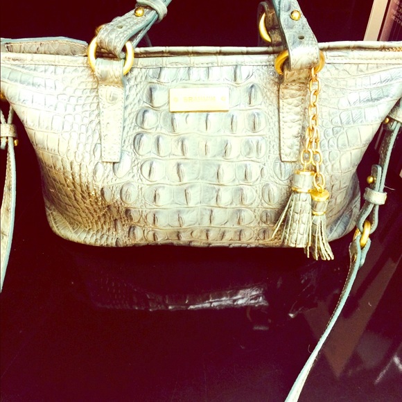 Light Teal Crocodile Brahmin bag.