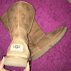 Chestnut tall uggs