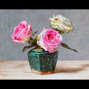 Meet your Posher, Lourdes