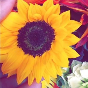 Meet your Posher, Marcella