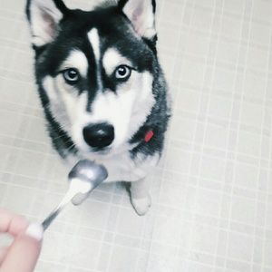 Meet your Posher, Helen