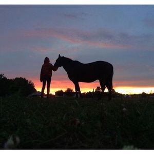 Meet your Posher, Morgan