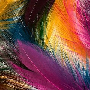 Meet your Posher, Avery