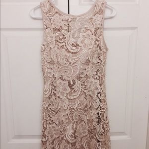 Cache Lace Dress
