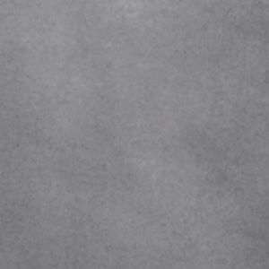 Meet your Posher, Lilah