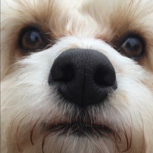 Meet your Posher, Chloe