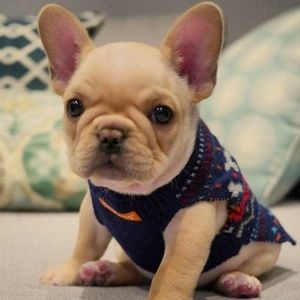 Meet your Posher, Adrienne