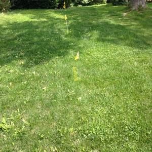 Meet your Posher, Kay