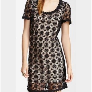 NWT! French Connection Hope Lace Dress
