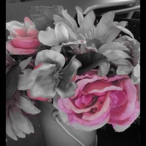 Meet your Posher, Norma