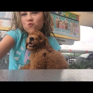 Meet your Posher, Cheylar