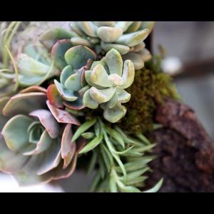 Meet your Posher, Jainah