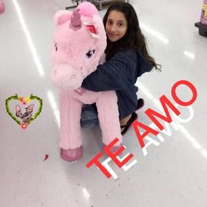 Meet your Posher, Carmen