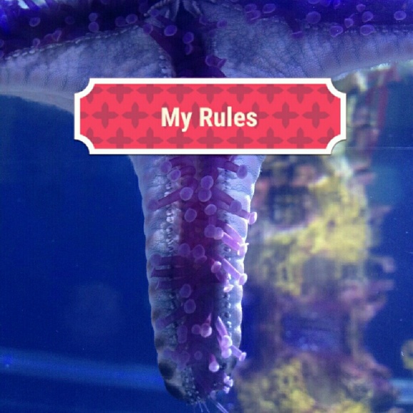 My personal rules! :)