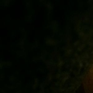 Meet your Posher, Adrian