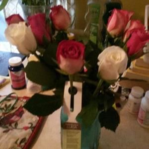 Meet your Posher, Ann