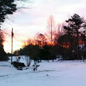 Meet your Posher, Paul