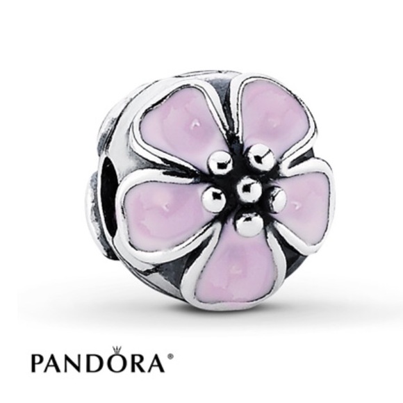 Pandora cherry blossom and globe bundle