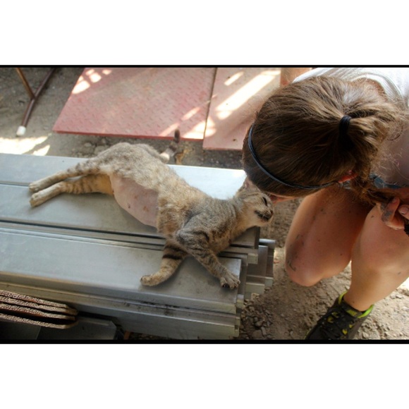 Meet your Posher, Danielle