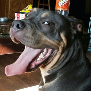 Meet your Posher, Dwayne