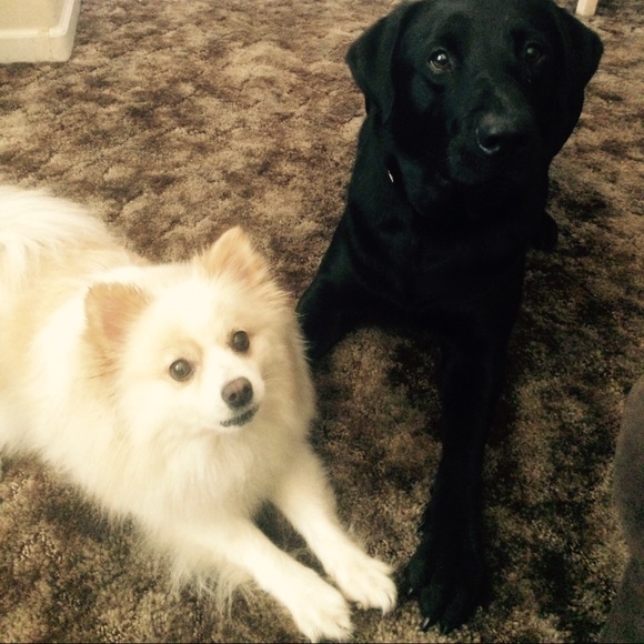 💛Meet your posher, Karina💛 - Picture 2 of 4