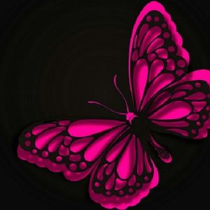 Meet your Posher, Casandra