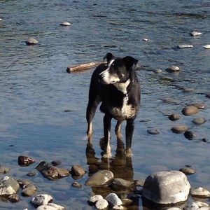 Meet your Posher, Shannon