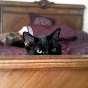 Meet your Posher, Becky