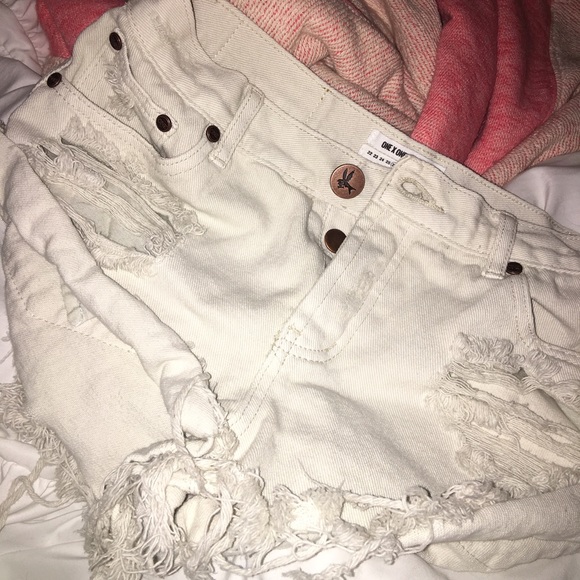 One teaspoon shorts size 26.