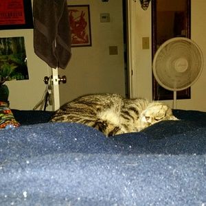 Meet your Posher, Janie