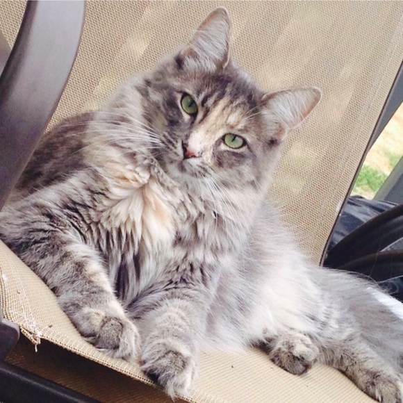 Meet your Buyer &Seller with my little Princess 😻 - Picture 5 of 8