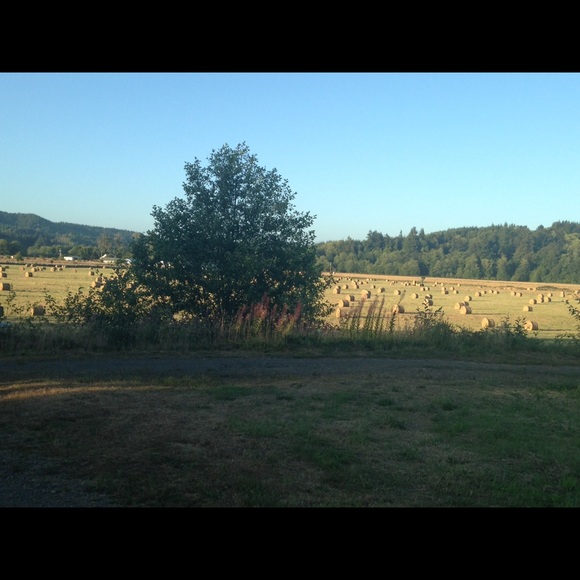 Meet your Buyer &Seller with my little Princess 😻 - Picture 7 of 8