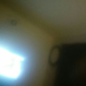 Meet your Posher, Ray