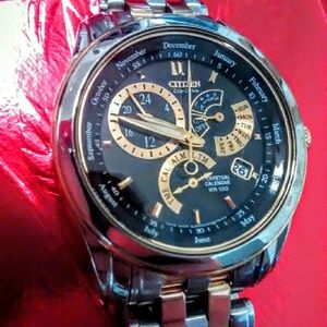 Citizen Calibre 8700