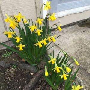 Meet your Posher, Anh