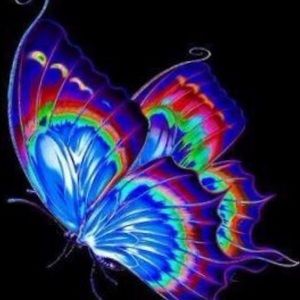 Meet your Posher, Lena